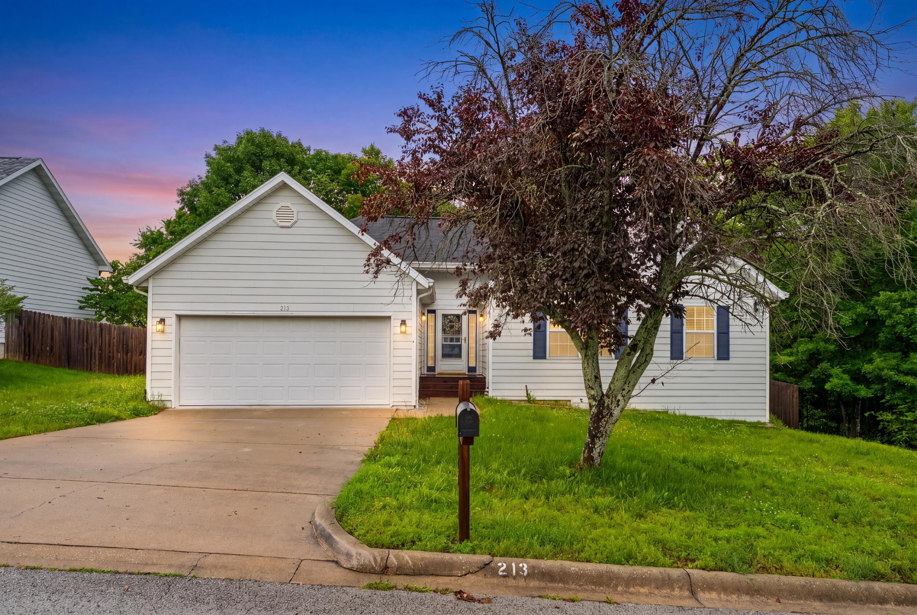 213 Daless Court Hollister, MO 65672