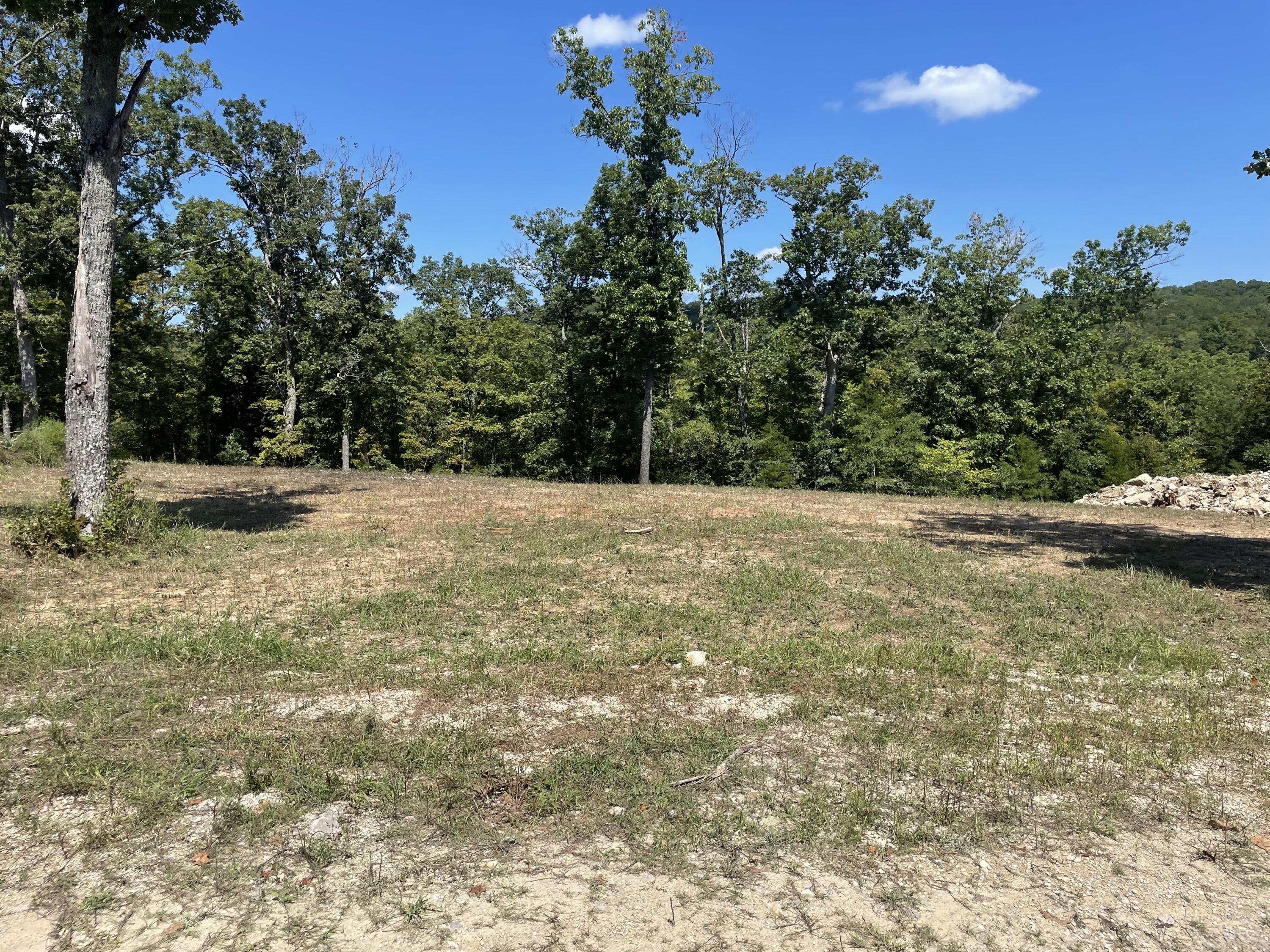 100 North Woods Way Branson, MO 65616