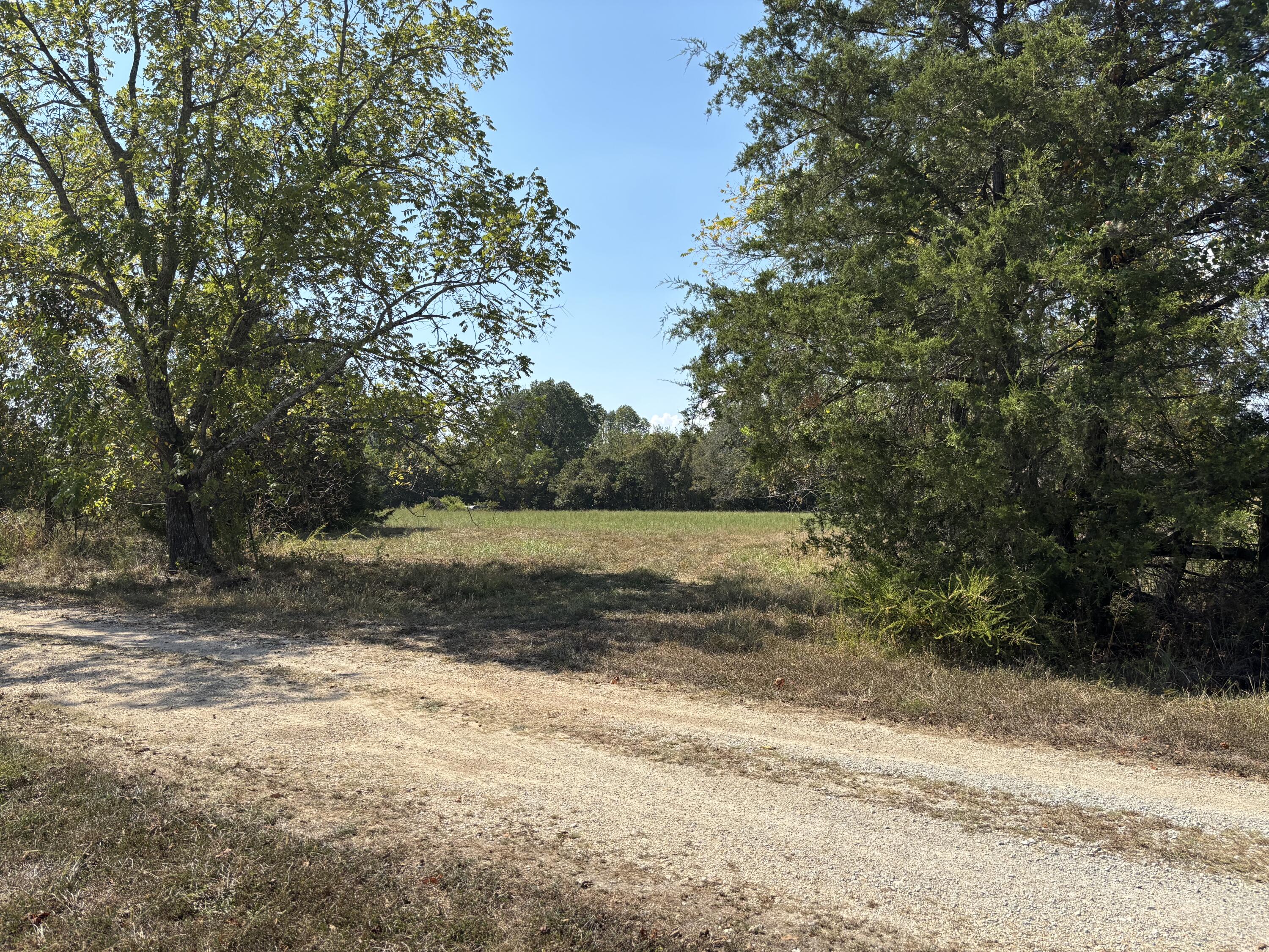 000 Lightning Springs Road Protem, MO 65733