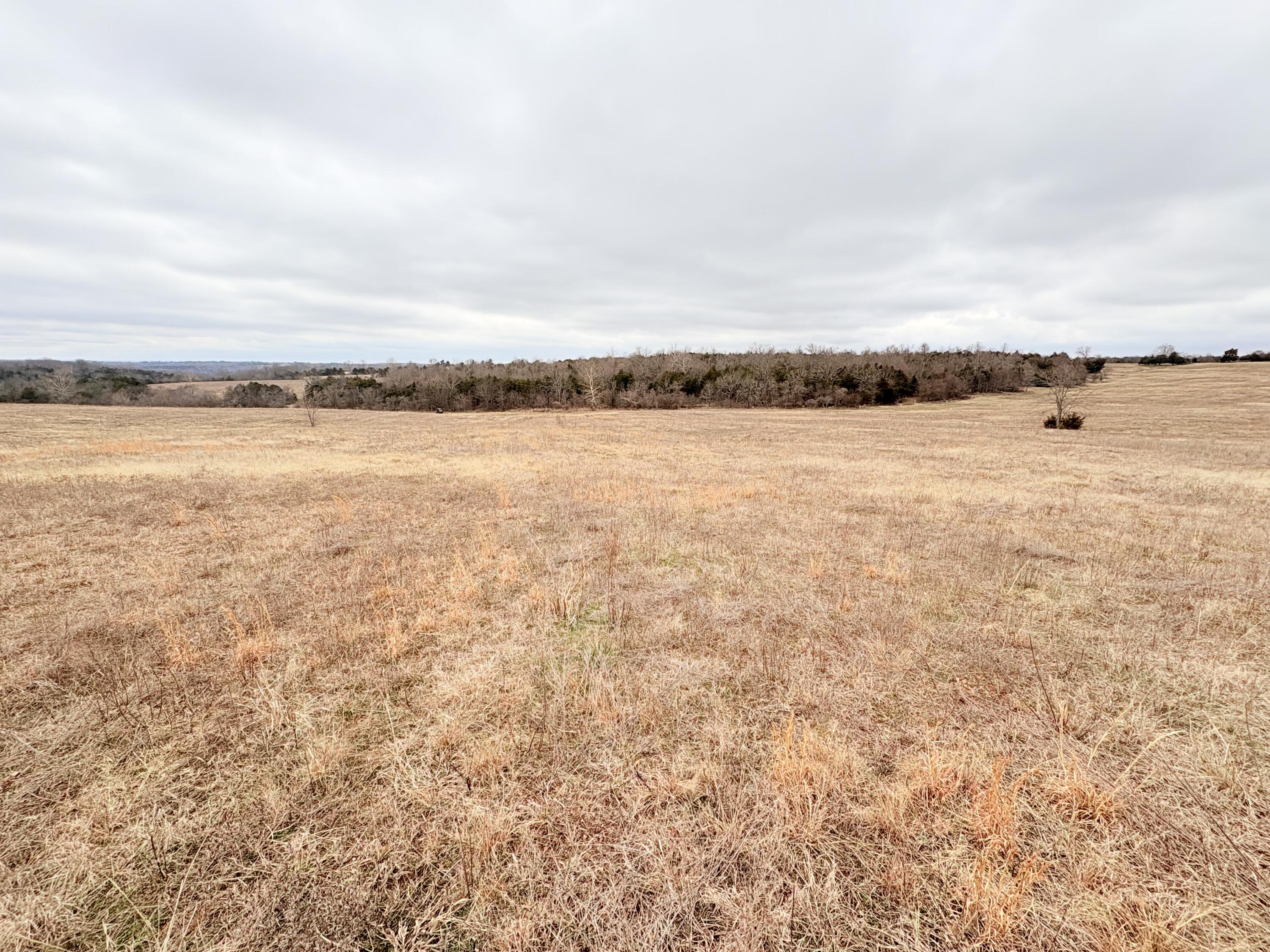 003 Tbd Lazy Acres Road Protem, MO 65733