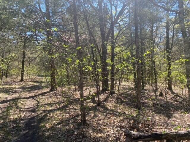 381 Painter Road Branson, MO 65616