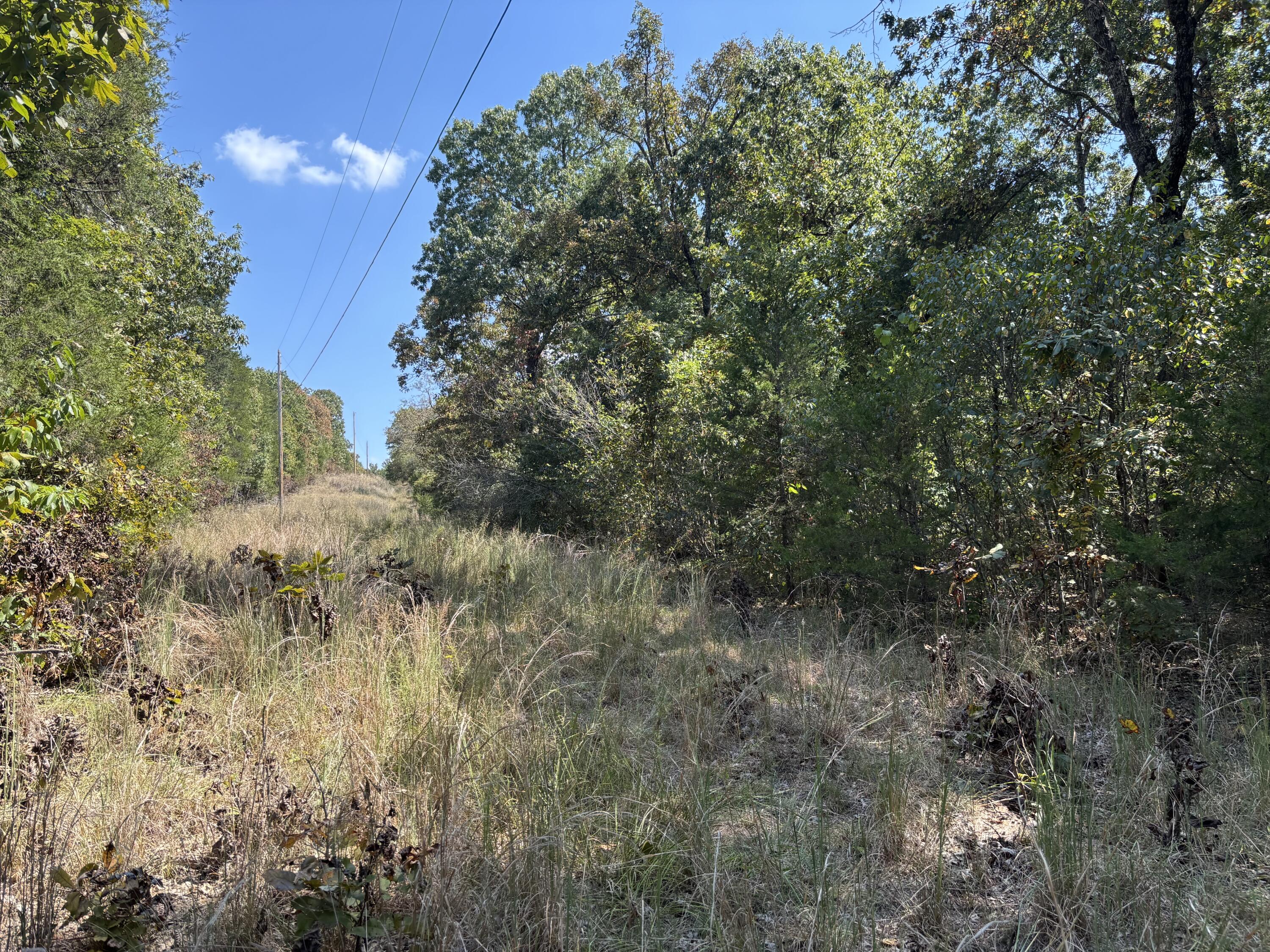 Tbd Lightning Springs Road Protem, MO 65733