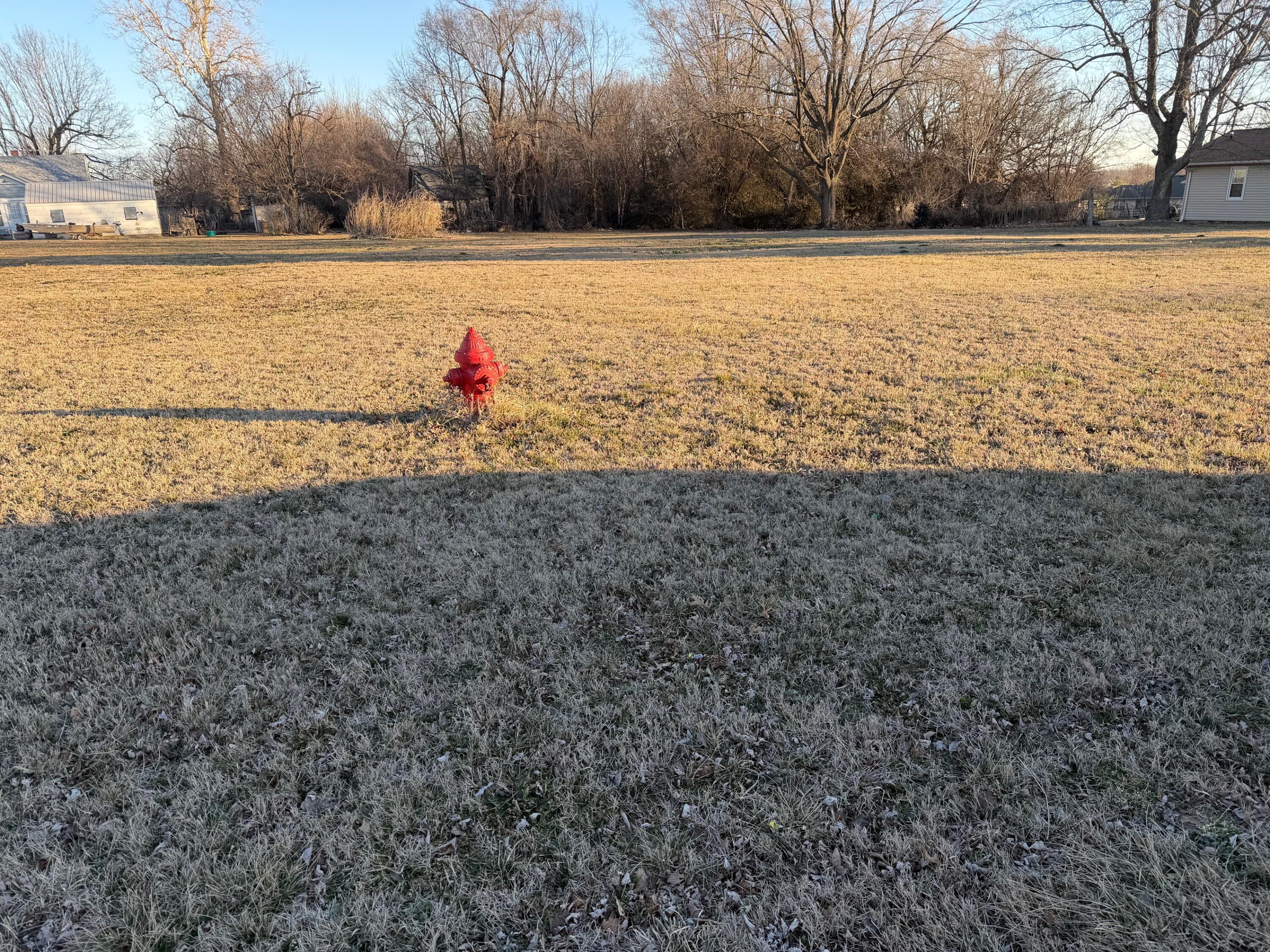 203 W Brown Street Clever, MO 65631