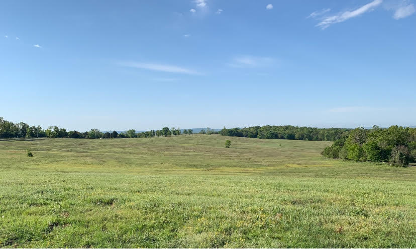 002 Tbd Lazy Acres Road Protem, MO 65733