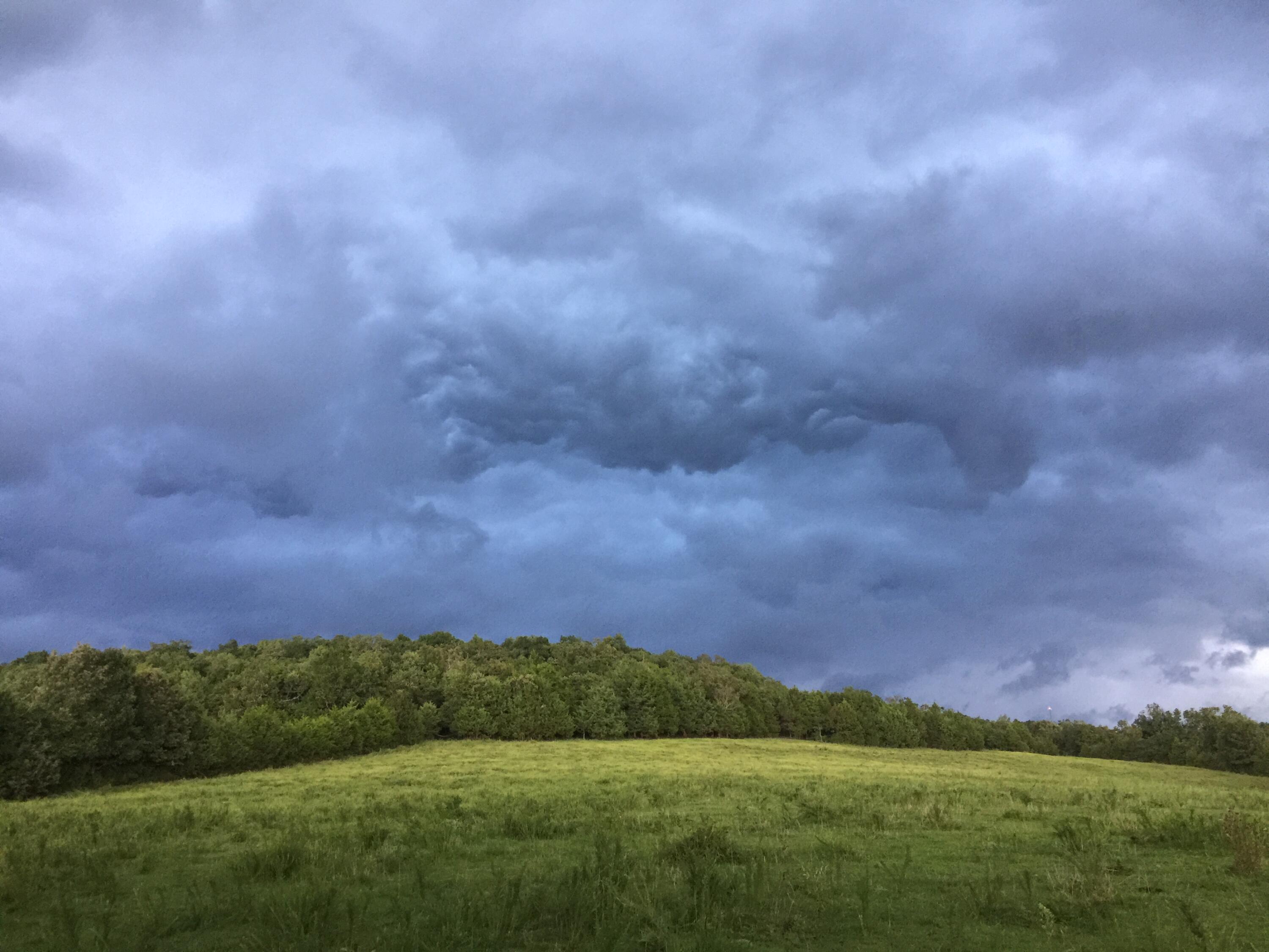 51 Acres Sycamore Church Road Branson, MO 65616
