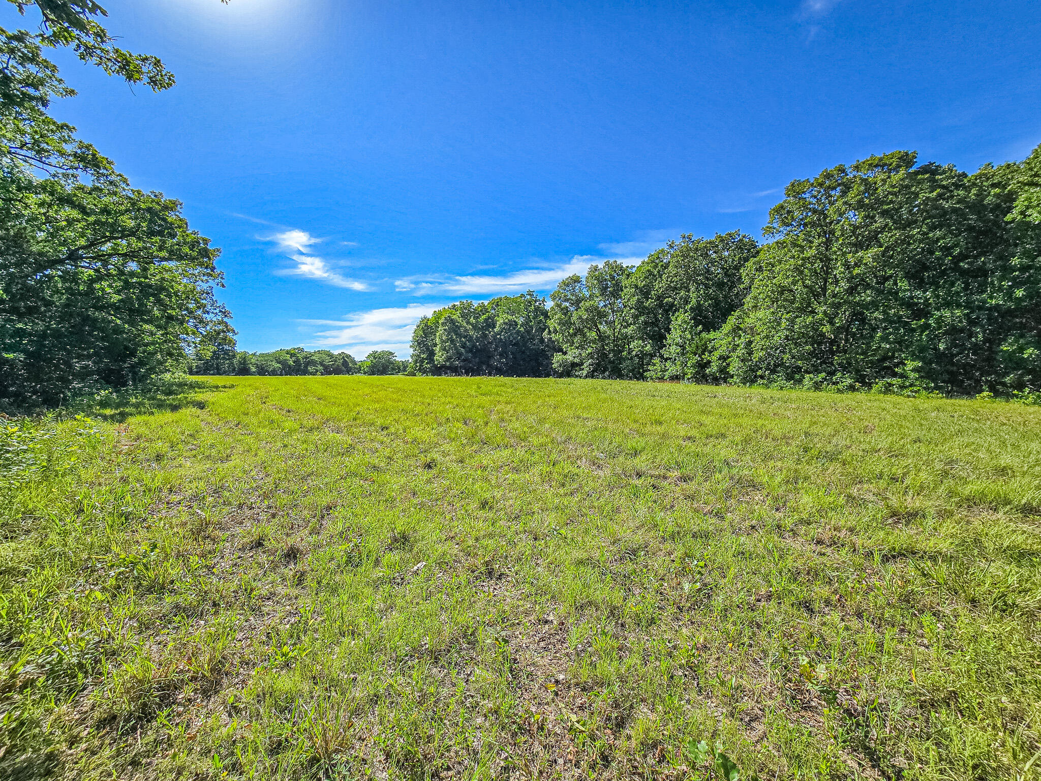 000 County Road 8c Cross Timbers, MO 65634