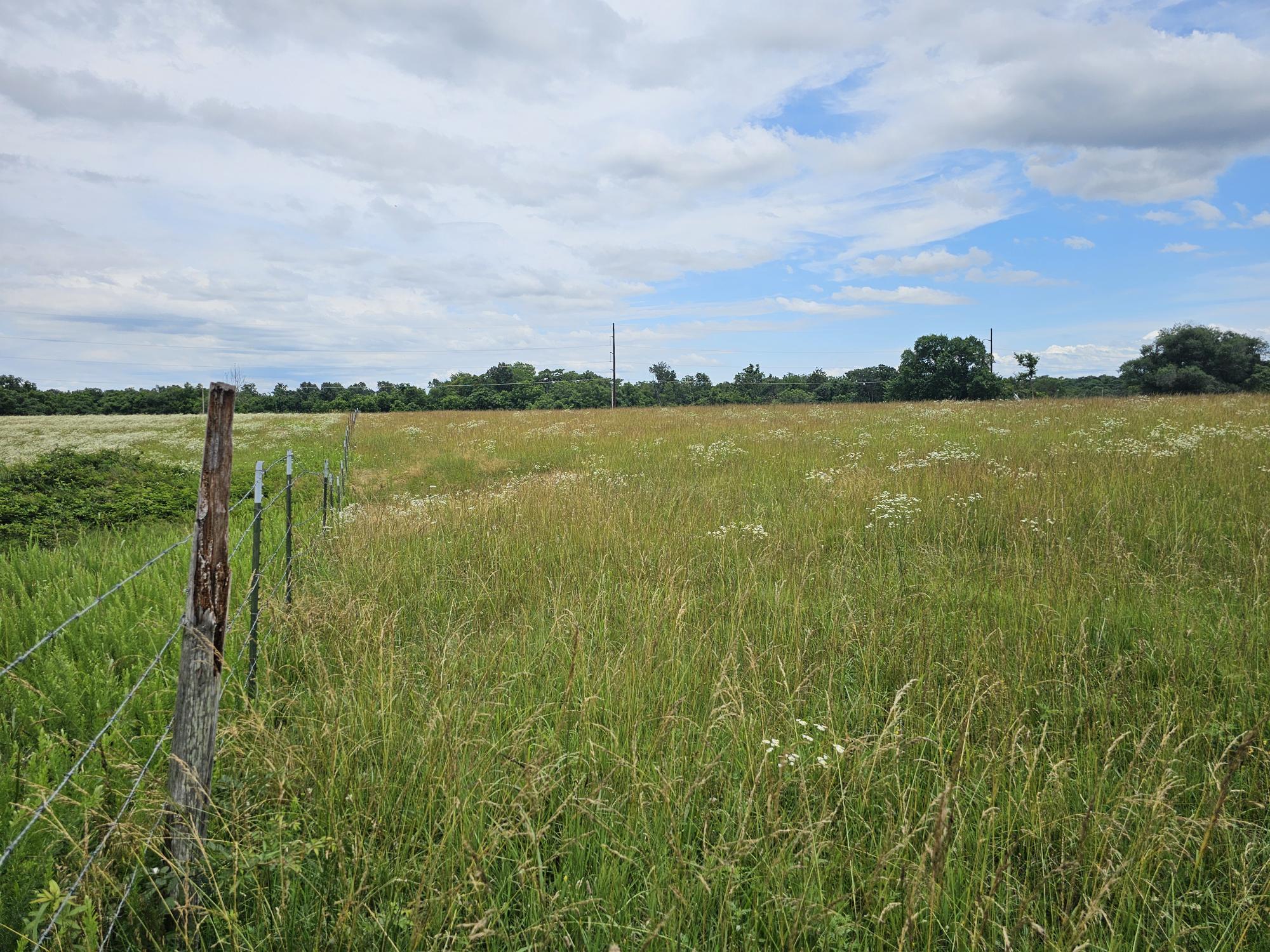 Lot 8 Lightning Bug Lane Goodman, MO 64843