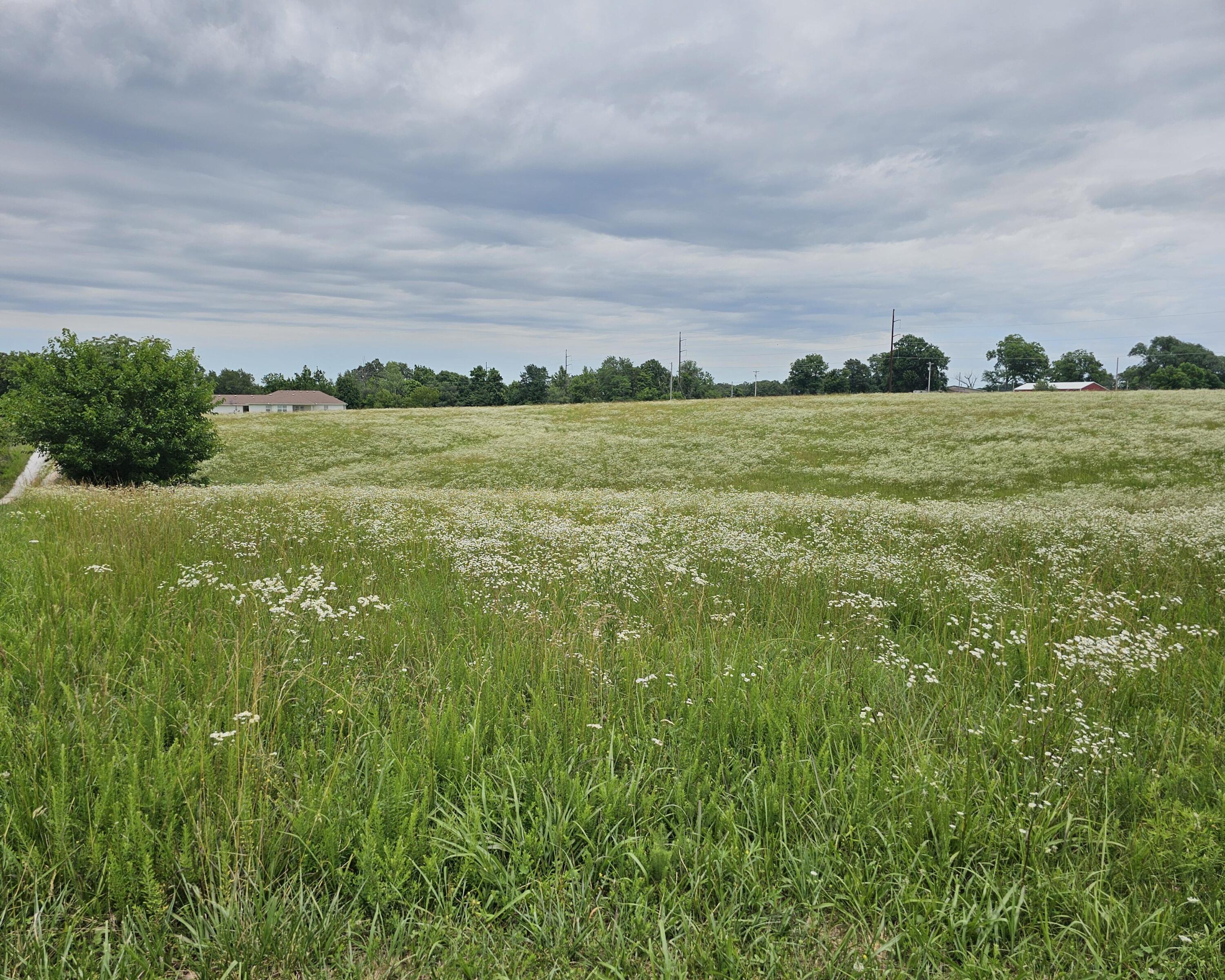 Lot 9 Lightning Bug Lane Goodman, MO 64843