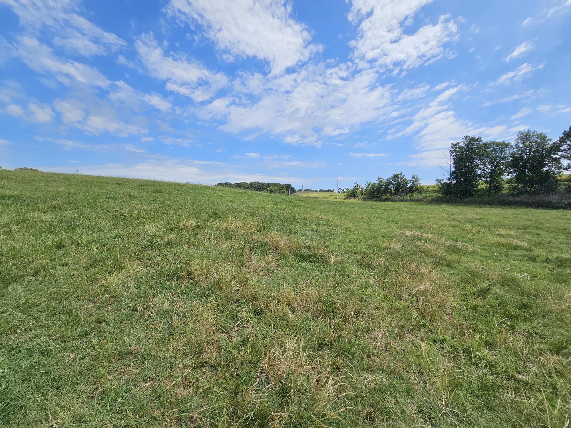 25 Acres State Highway F Anderson, MO 64831