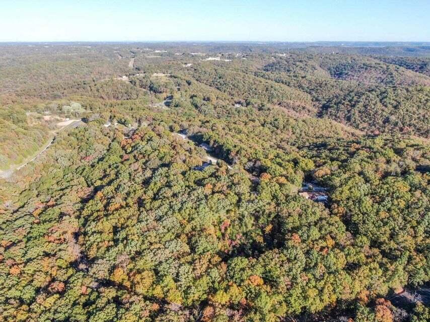 Tbd Ance Acres Lane UNIT 15 & 16 Reeds Spring, MO 65737