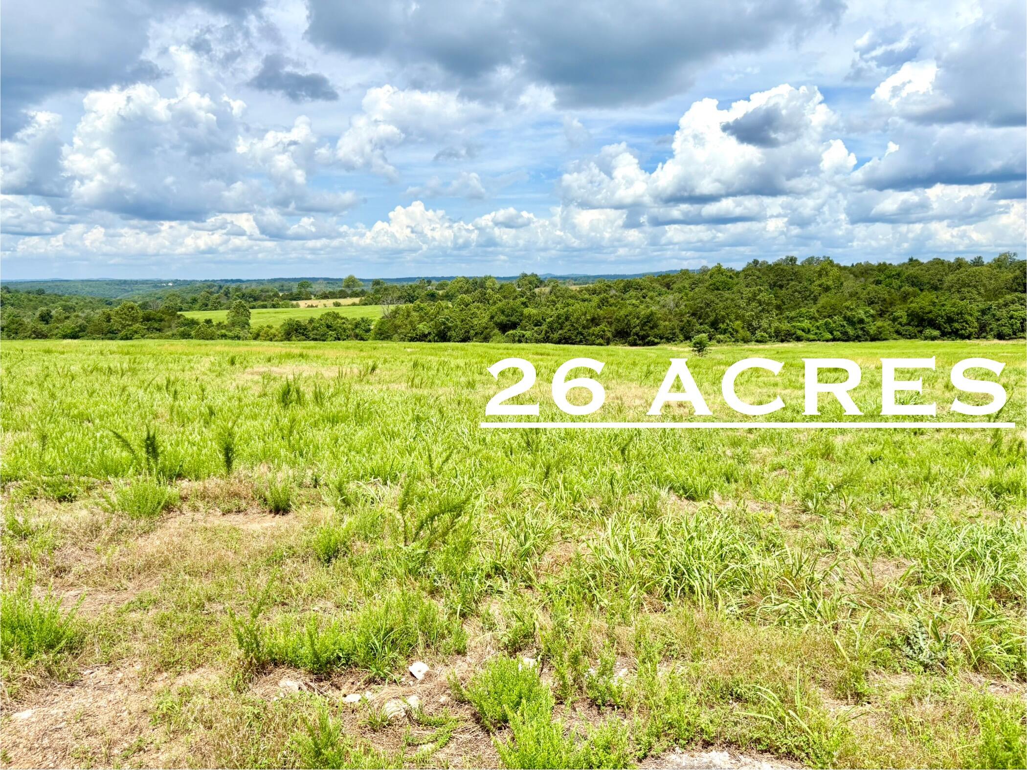 1020 Lazy Acres Road Protem, MO 65733