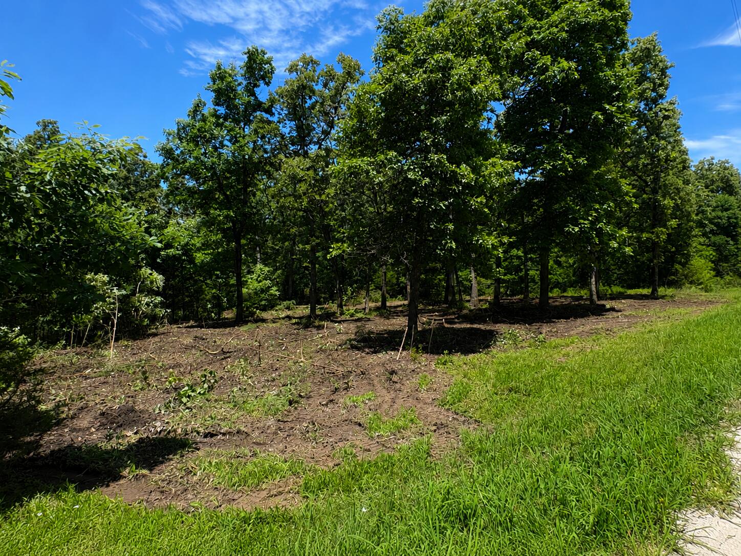 000 Country Place Drive Urbana, MO 65767