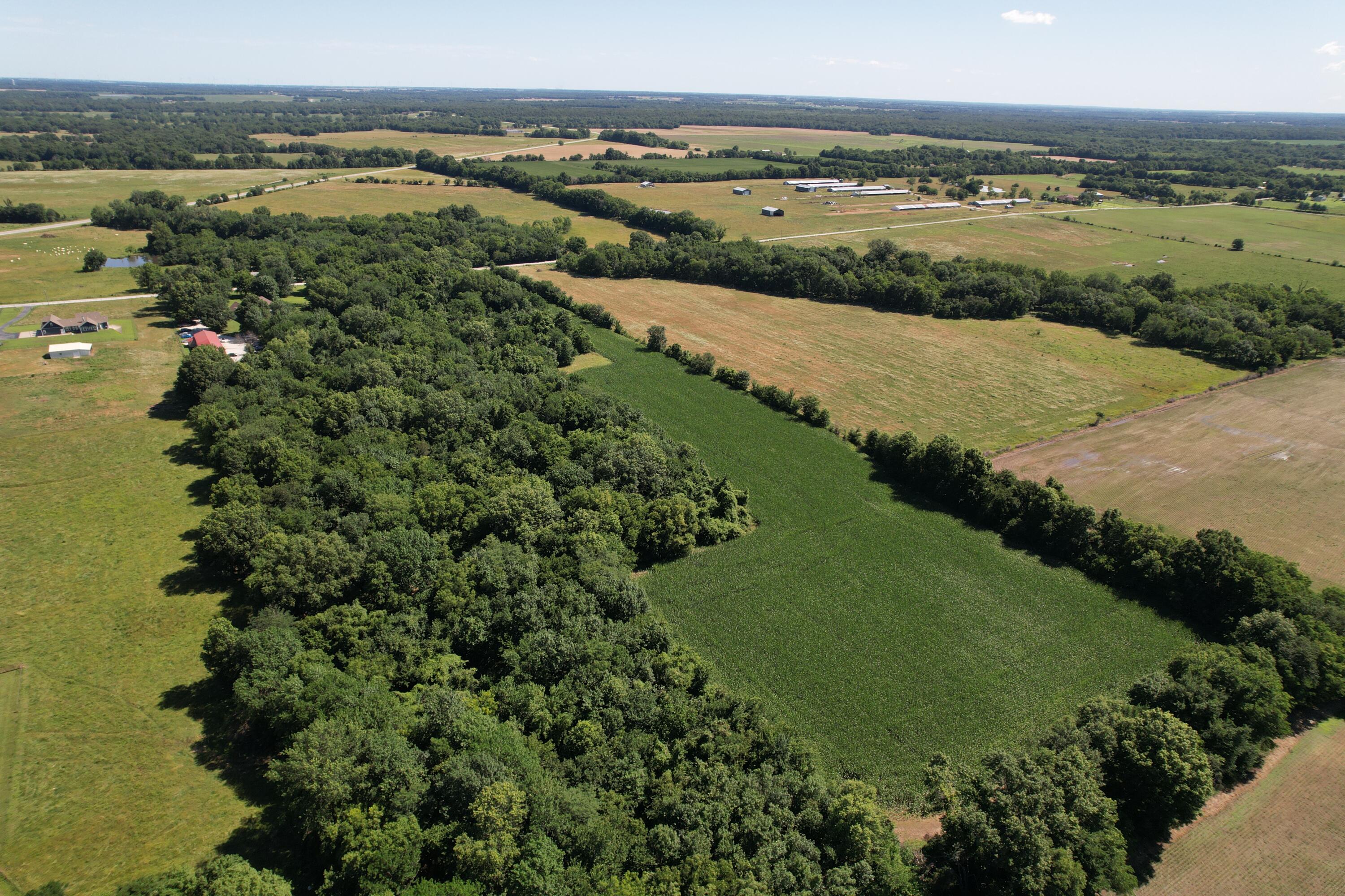 0000 Maple Road Oronogo, MO 64855