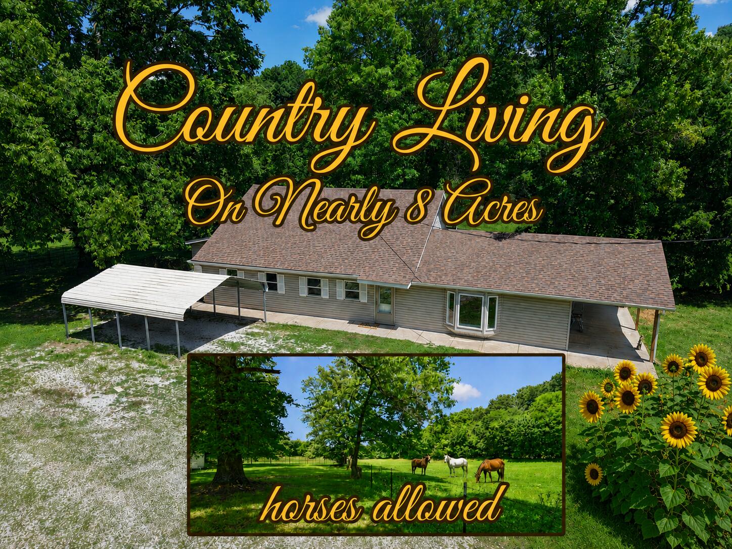 533 Ghan Road Clever, MO 65631