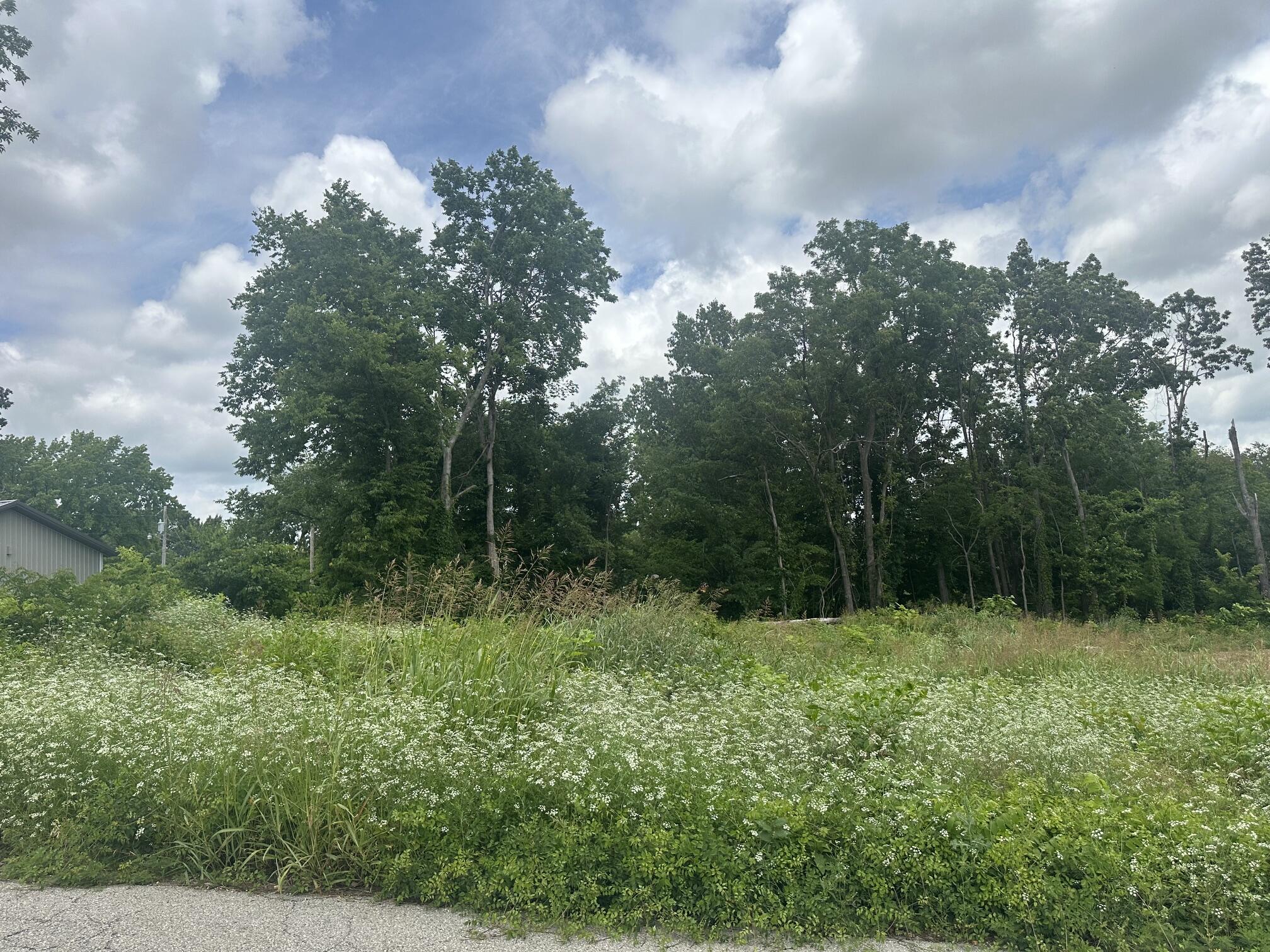 Lot 17 Creswell Avenue Joplin, MO 64801