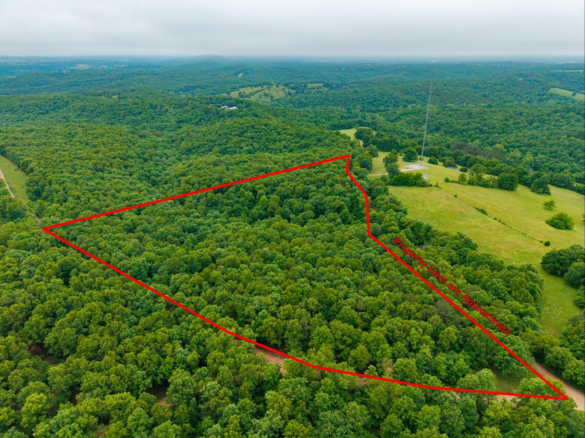 000 Co Rd UNIT Tract 3 Hardenville, MO 65666