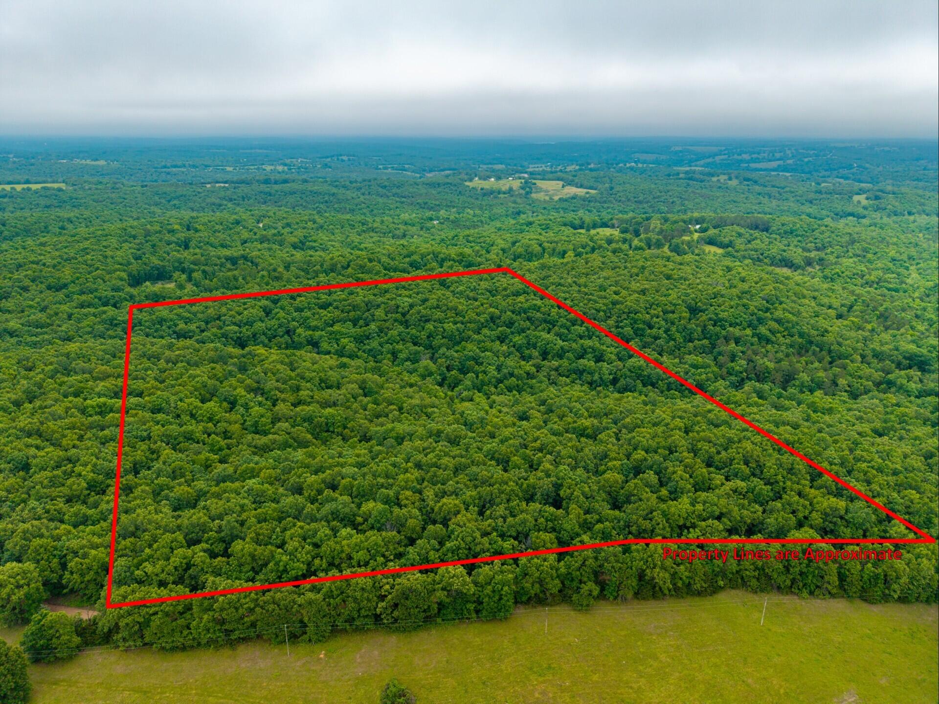 000 Co Rd UNIT Tract 2 Hardenville, MO 65666
