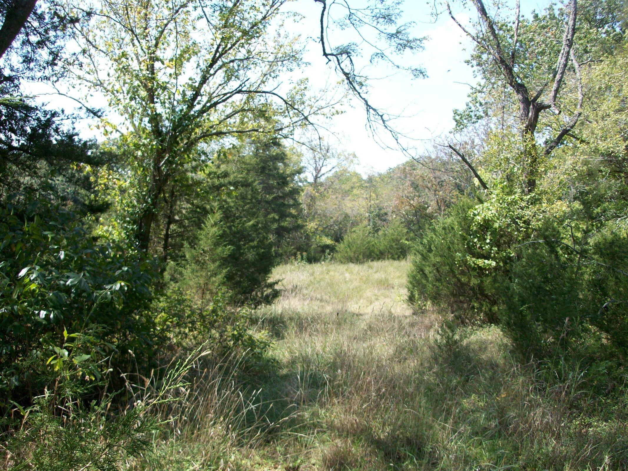 000 Cahill Road Branson, MO 65616