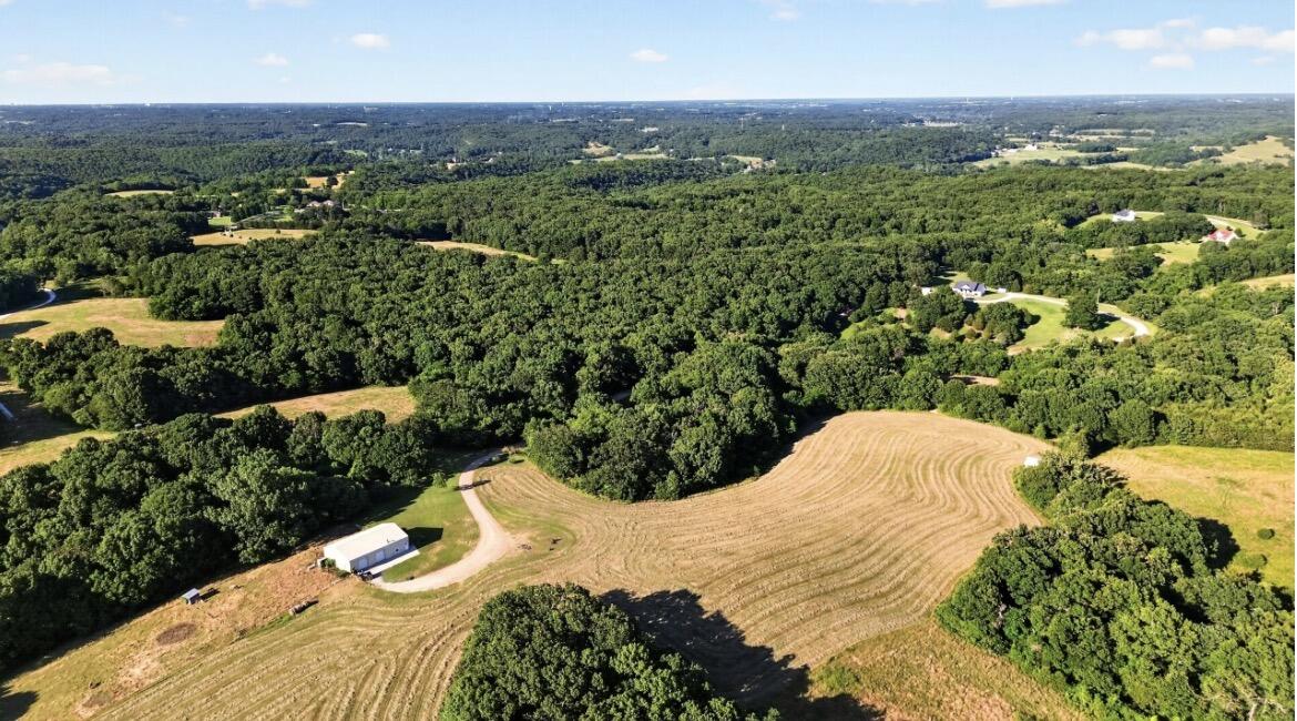 425 Lake Branch Road Clever, MO 65631