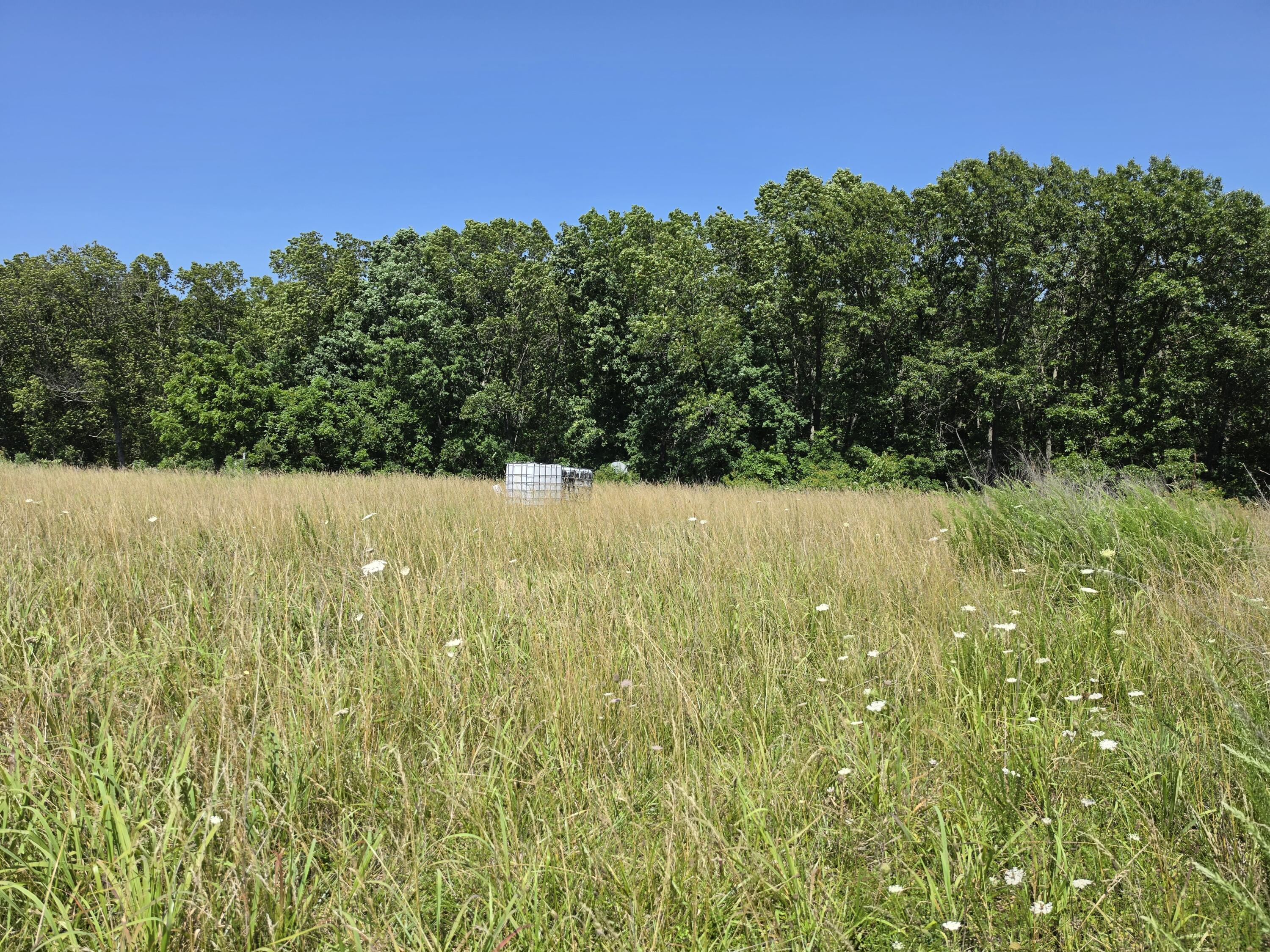 404 State Highway Kk Fordland, MO 65652