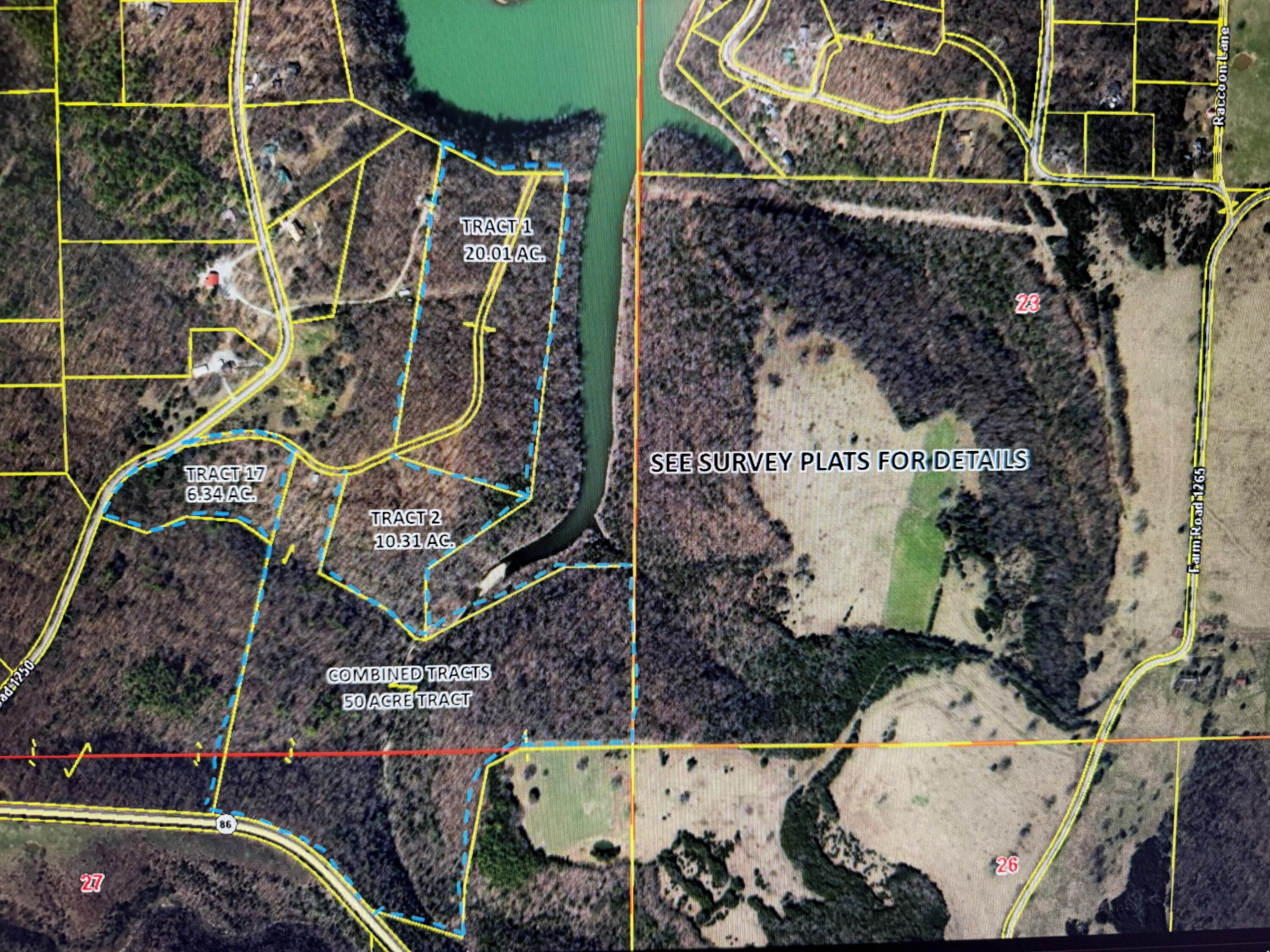 Tract 17 Farm Road 1250 Golden, MO 65658