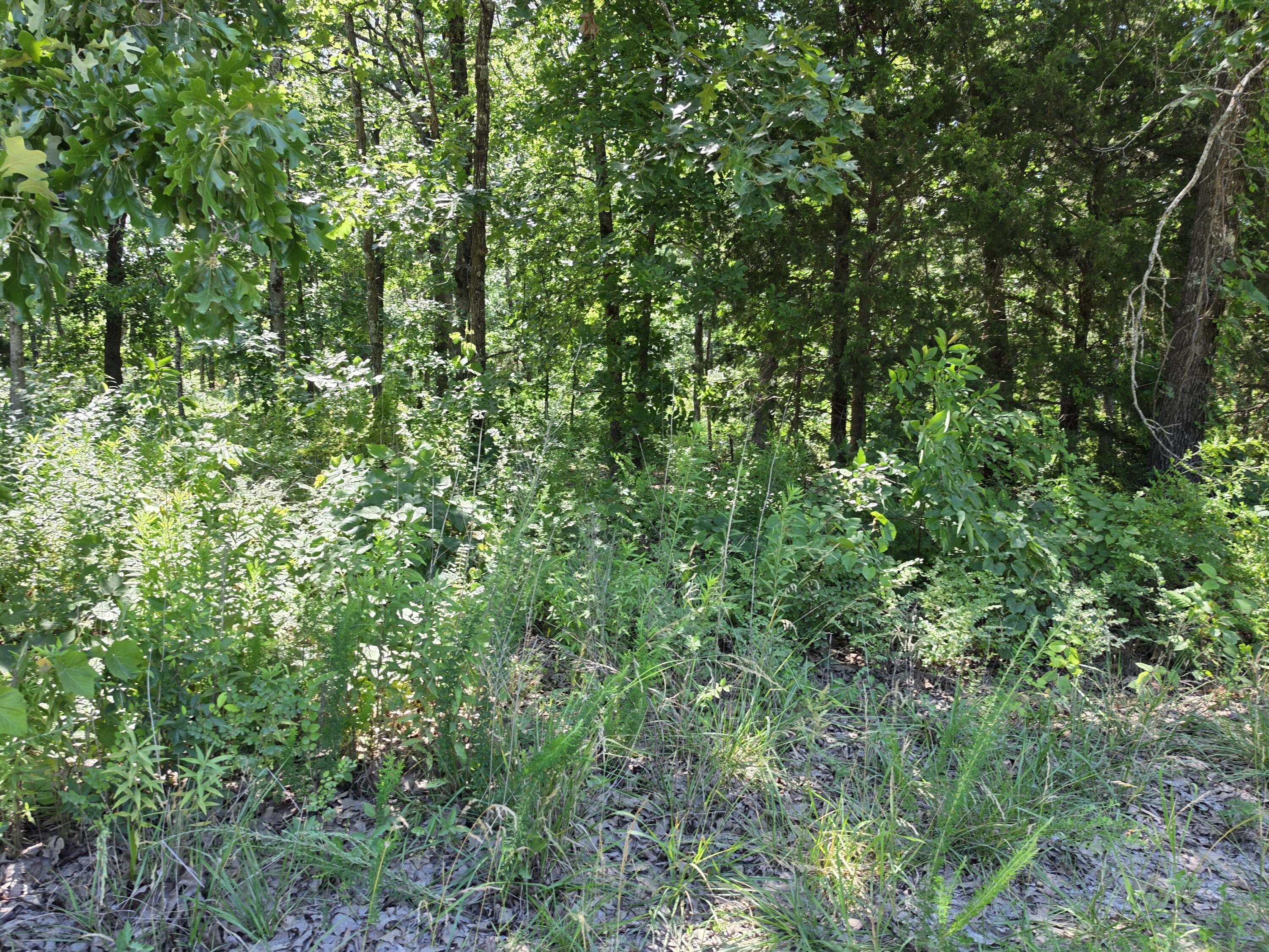 000 Hidden Pond Drive UNIT #36 Fordland, MO 65652