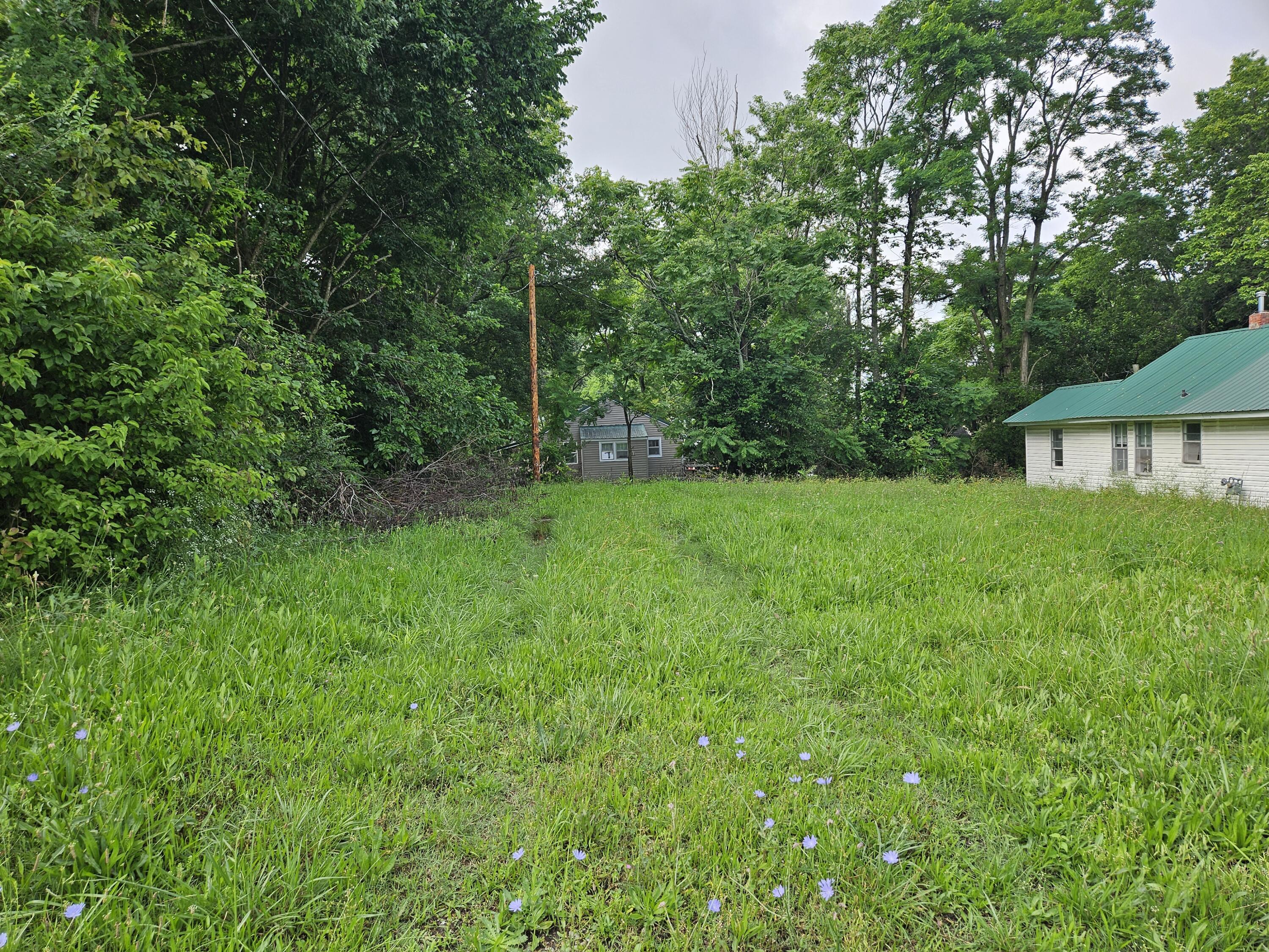 401 E Webster Avenue Ava, MO 65608