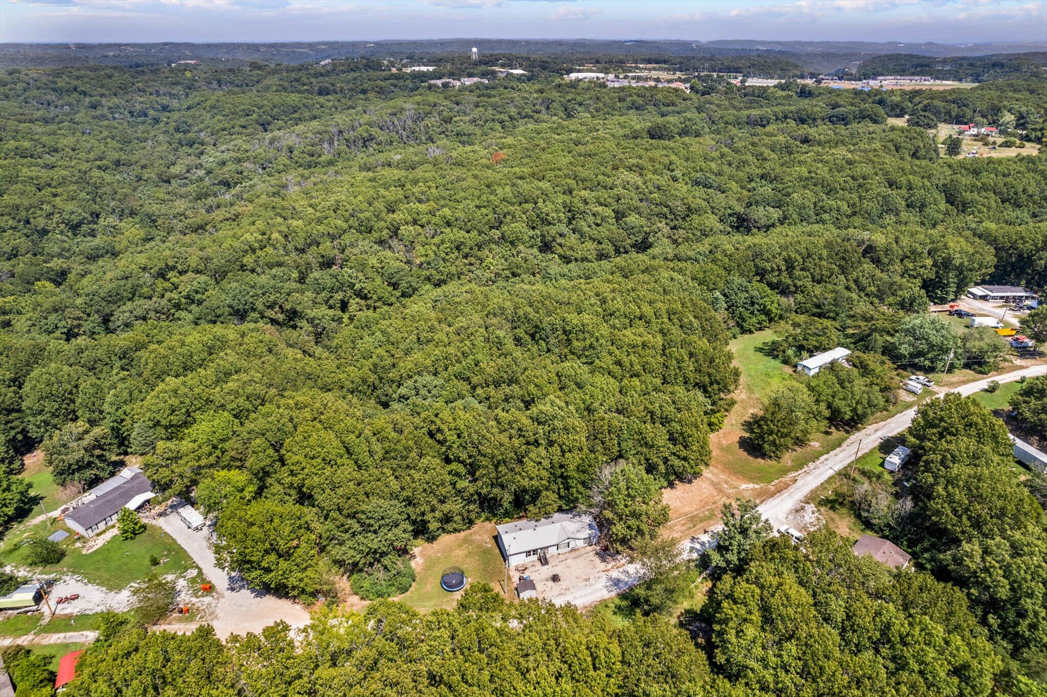 232 Steven Lane Reeds Spring, MO 65737