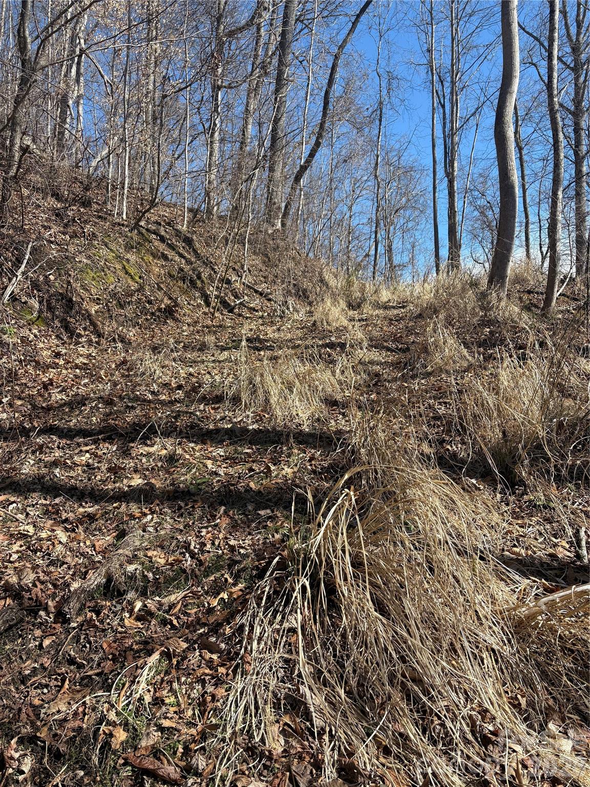 344 Running Deer Lane UNIT #71 Mars Hill, NC 28754