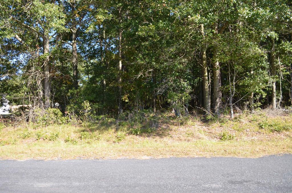 00 Mallett Rd Manning, SC 29102