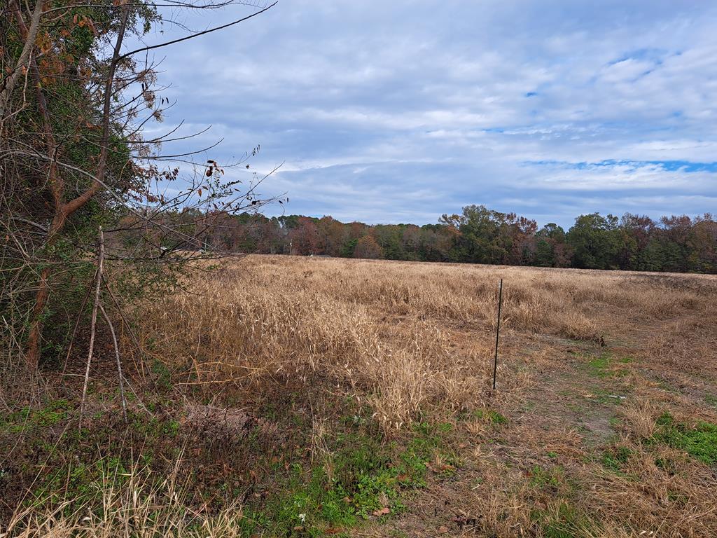 01 Muldoon Summerton, SC 29148