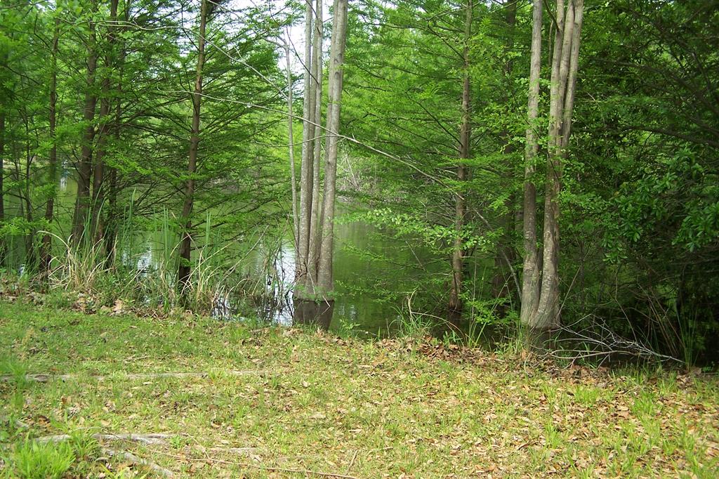 1494 Ralph Bell Summerton, SC 29148