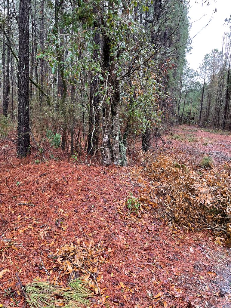 00 Archer Ave Manning, SC 29102