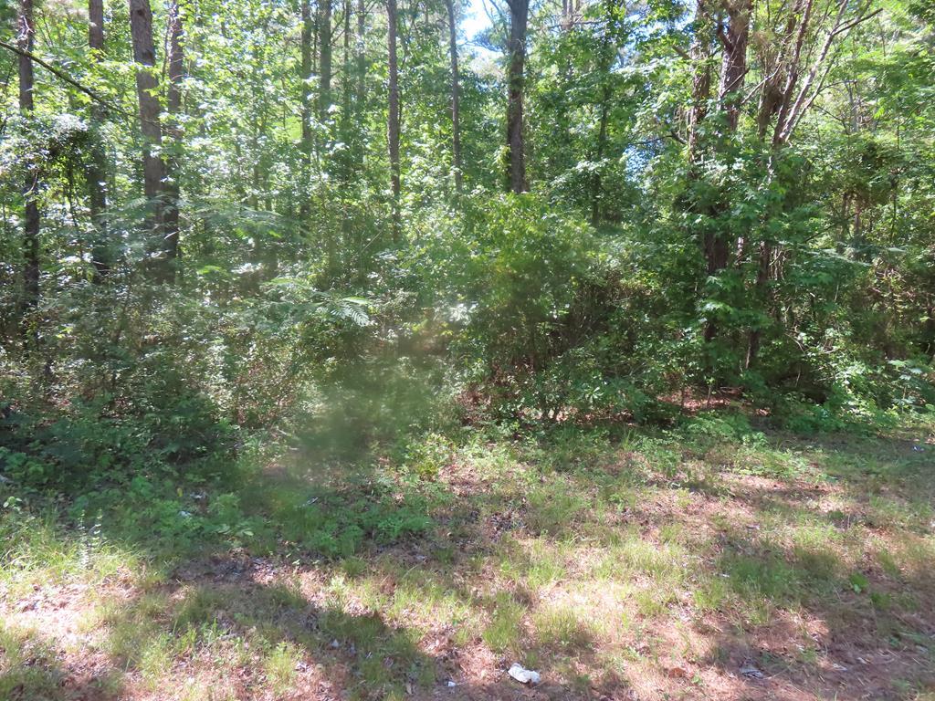 Garvey Rd. Summerton, SC 29148