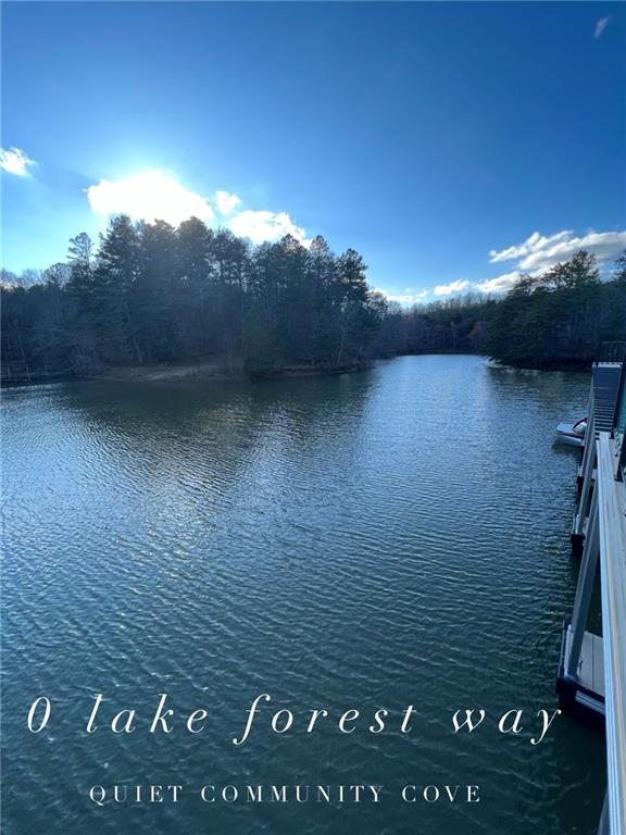 Lake Forest Way (lot 1) Dawsonville, GA 30534