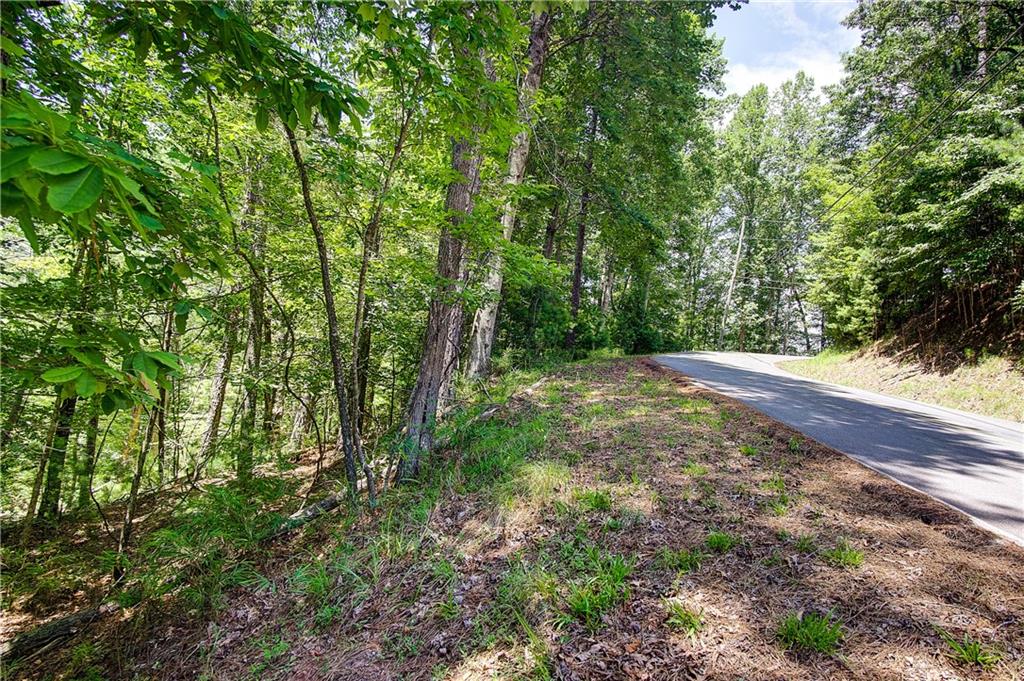 00 Newport Drive Ellijay, GA 30540