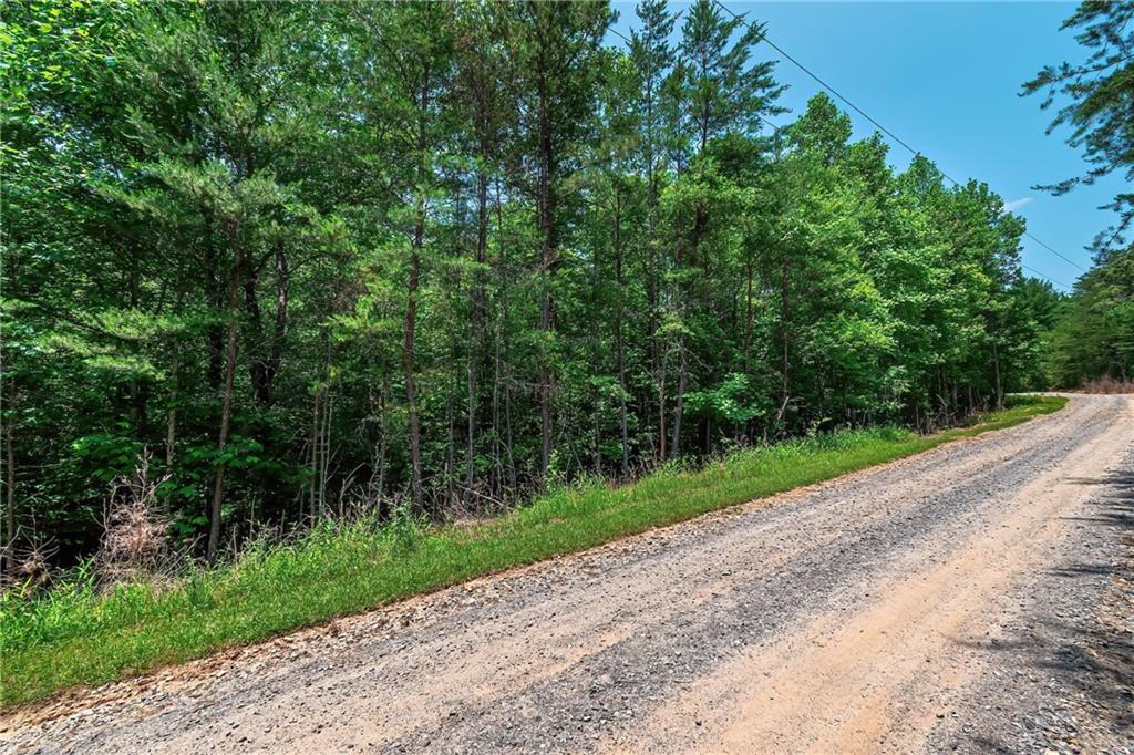 3.35AC Pine Lane Mineral Bluff, GA 30559