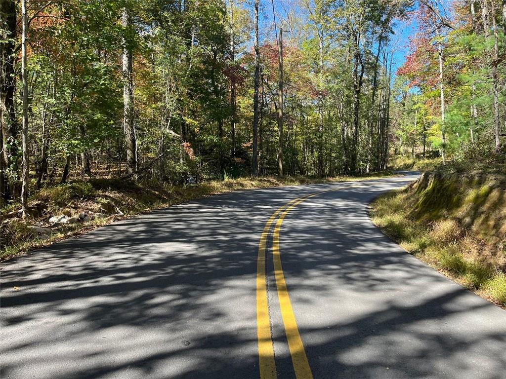 Little Mountain Rd Dahlonega, GA 30533