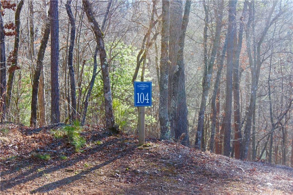 Tumbling Waters Lane Ellijay, GA 30540