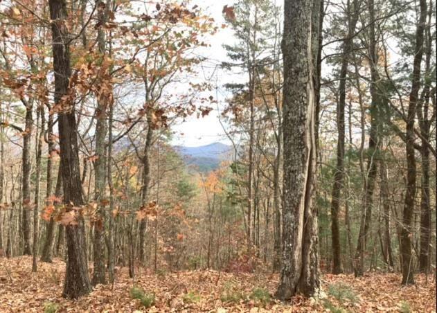 Lot 17 Abbott Mill Road Ellijay, GA 30540