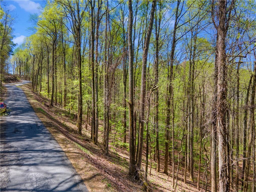 109 Skyview Drive Ellijay, GA 30536