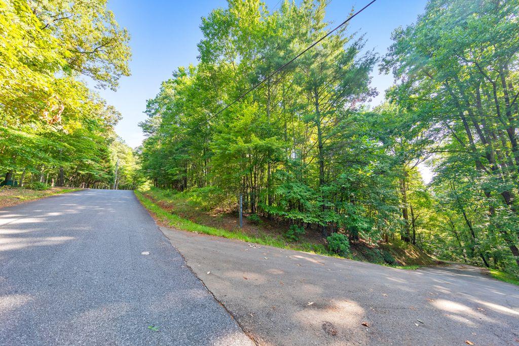 Lookiba Lane Ellijay, GA 30540