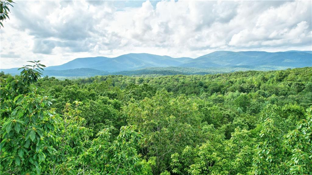 48 Mt McGurder - 48.26 Acres Road Ellijay, GA 30536