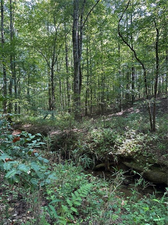 Pleasant Valley Road Talking Rock, GA 30175