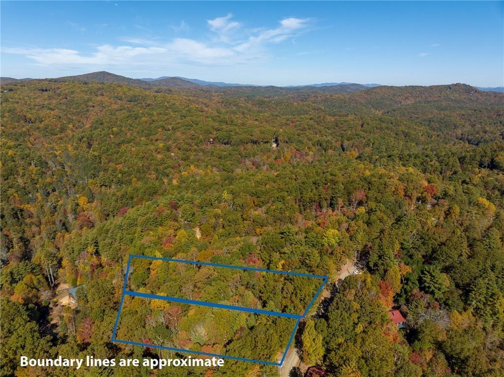 Mountain View Circle Blue Ridge, GA 30513