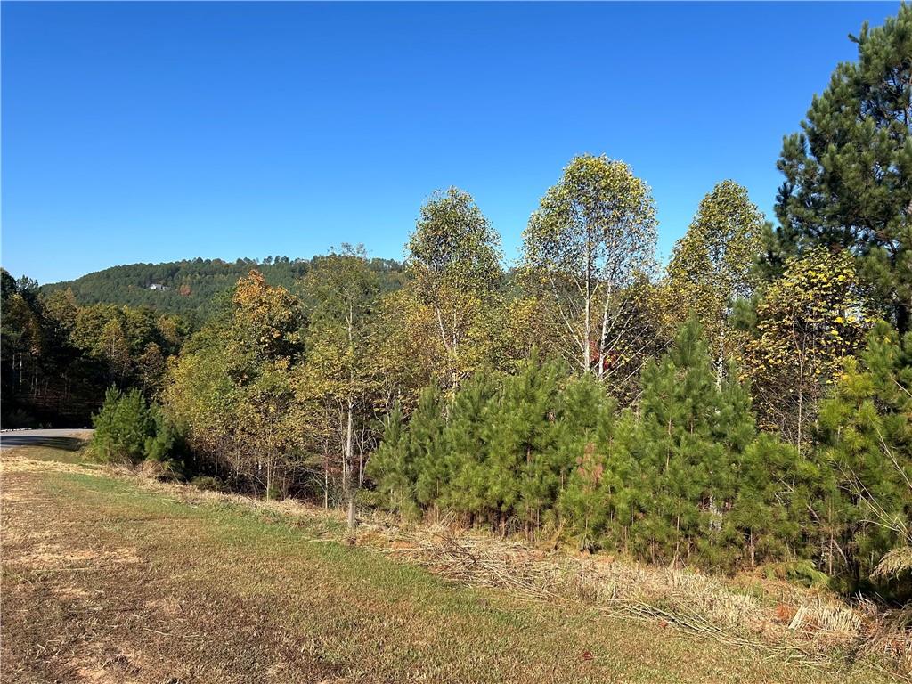 Marshall Rise Blairsville, GA 30512