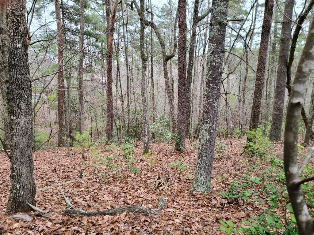 163 Wild Pansy Circle Big Canoe, GA 30143