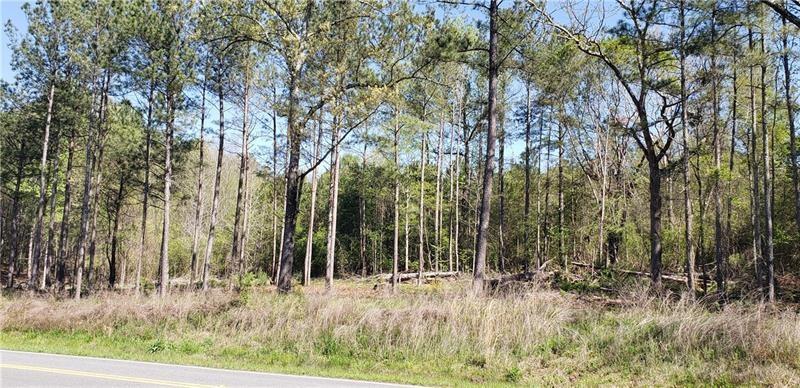 3 Acre Mount Olivet Dallas, GA 30132