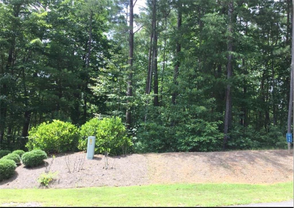 Harris Creek Drive Ellijay, GA 30540