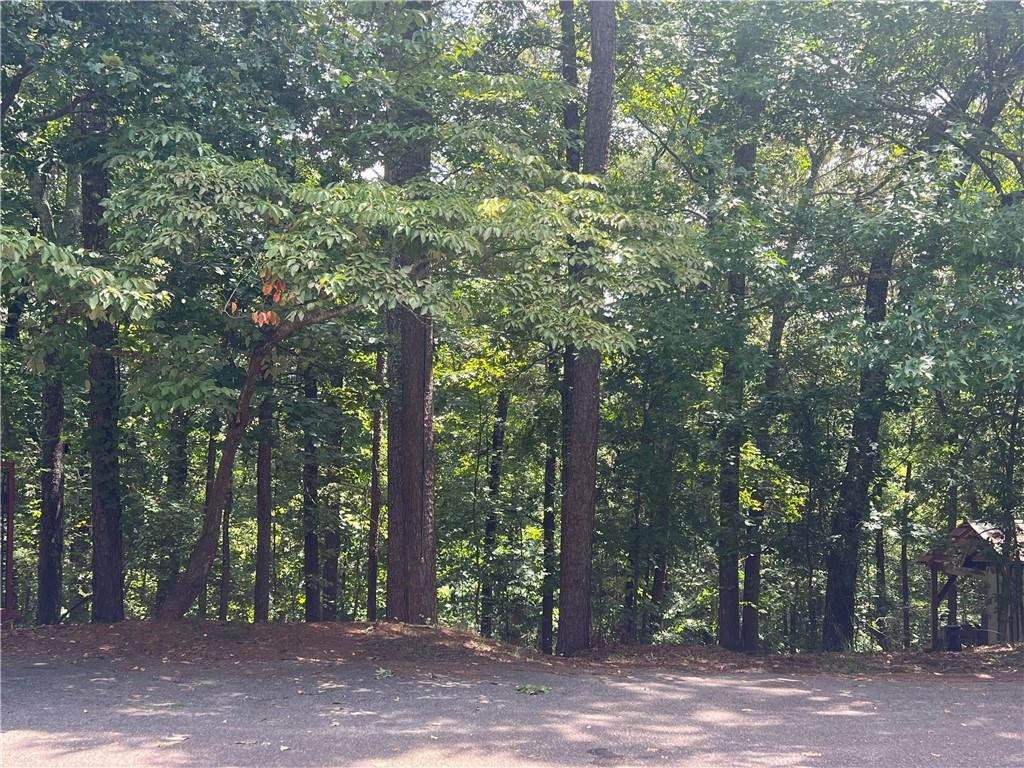 00 Old Atlanta Lot Road Suwanee, GA 30024